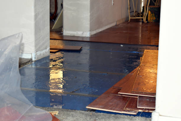 Professional Sewage Cleanup technician working in Parker, TX